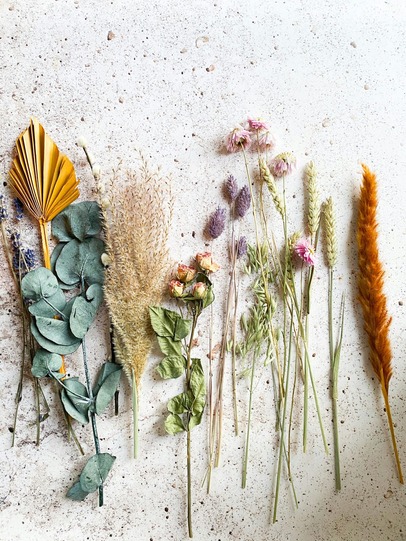 Botanicals